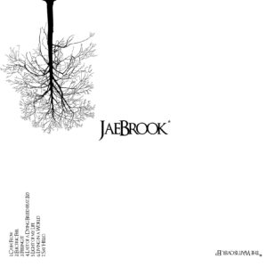 Jae Brook -  The Wait Is Over EP